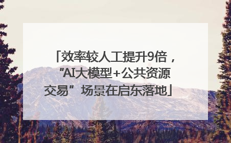 效率较人工提升9倍，“AI大模型+公共资源交易”场景在启东落地