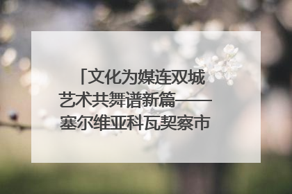 文化为媒连双城 艺术共舞谱新篇——塞尔维亚科瓦契察市代表团访问日照