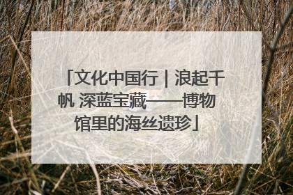 文化中国行｜浪起千帆 深蓝宝藏——博物馆里的海丝遗珍