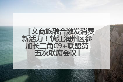 文商旅融合激发消费新活力！镇江润州区参加长三角C9+联盟第五次联席会议