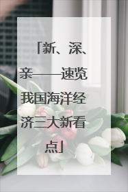 新、深、亲——速览我国海洋经济三大新看点