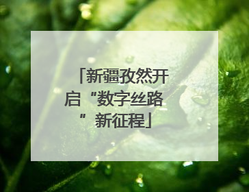 新疆孜然开启“数字丝路”新征程