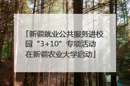 新疆就业公共服务进校园“3+10”专项活动在新疆农业大学启动