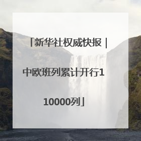 新华社权威快报｜中欧班列累计开行110000列