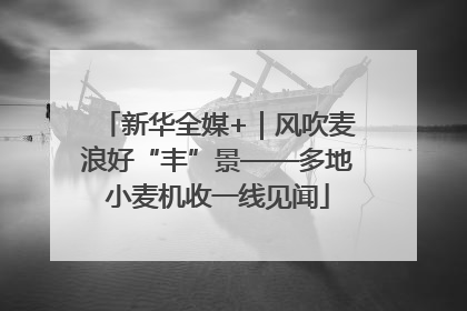 新华全媒+｜风吹麦浪好“丰”景——多地小麦机收一线见闻