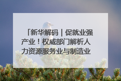 新华解码｜促就业强产业！权威部门解析人力资源服务业与制造业融合发展试点