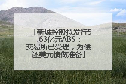新城控股拟发行5.63亿元ABS：交易所已受理，为偿还美元债做准备
