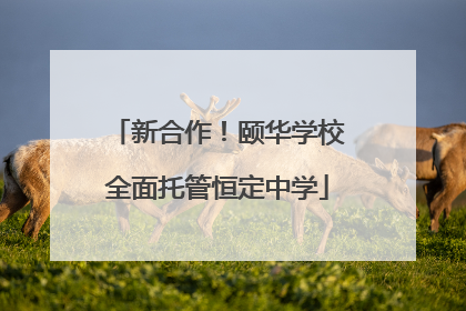新合作！颐华学校全面托管恒定中学
