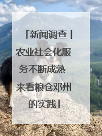 新闻调查丨农业社会化服务不断成熟 来看粮仓邓州的实践