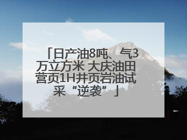 日产油8吨、气3万立方米 大庆油田营页1H井页岩油试采“逆袭”