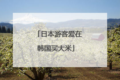 日本游客爱在韩国买大米