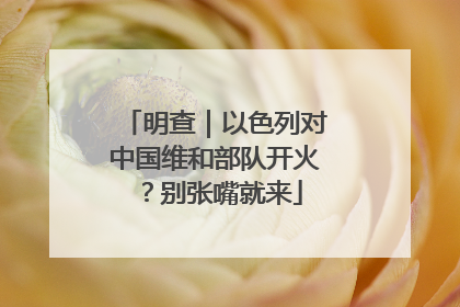 明查｜以色列对中国维和部队开火？别张嘴就来