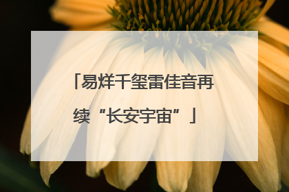易烊千玺雷佳音再续“长安宇宙”