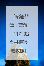 昭通盐津：蓝莓“串”起乡村振兴增收链