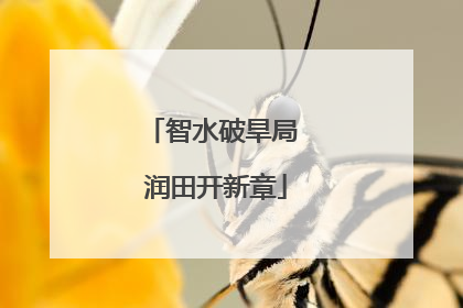 智水破旱局 润田开新章