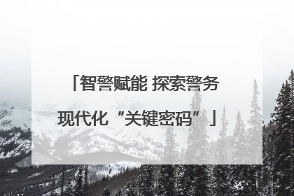 智警赋能 探索警务现代化“关键密码”