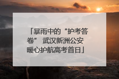 暴雨中的“护考答卷” 武汉新洲公安暖心护航高考首日
