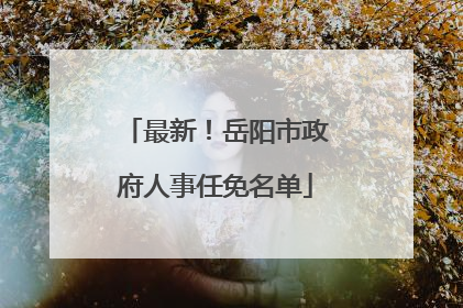 最新！岳阳市政府人事任免名单