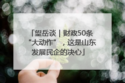望岳谈｜财政50条“大动作”，这是山东发展民企的决心