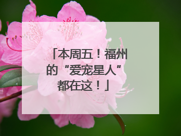 本周五！福州的“爱宠星人”都在这！