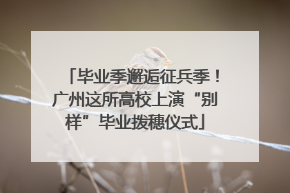 毕业季邂逅征兵季！广州这所高校上演“别样”毕业拨穗仪式