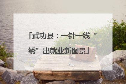 武功县：一针一线“绣”出就业新图景