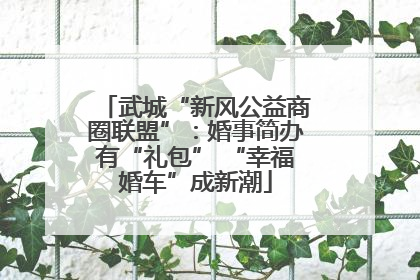 武城“新风公益商圈联盟”：婚事简办有“礼包” “幸福婚车”成新潮