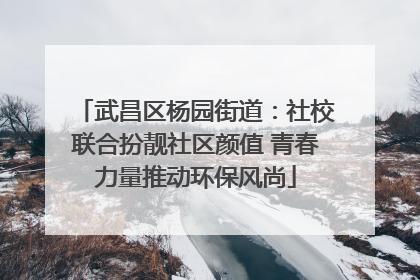 武昌区杨园街道：社校联合扮靓社区颜值 青春力量推动环保风尚