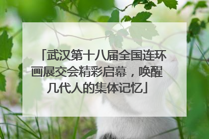 武汉第十八届全国连环画展交会精彩启幕，唤醒几代人的集体记忆