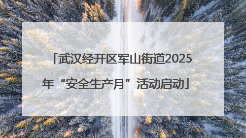 武汉经开区军山街道2025年“安全生产月”活动启动