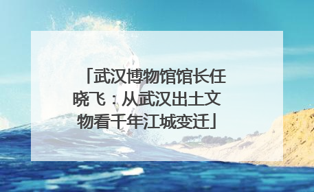 武汉博物馆馆长任晓飞：从武汉出土文物看千年江城变迁