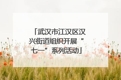 武汉市江汉区汉兴街道组织开展“七一”系列活动