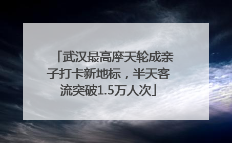 武汉最高摩天轮成亲子打卡新地标，半天客流突破1.5万人次