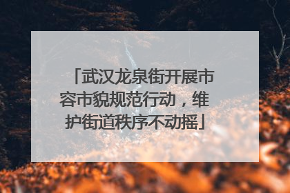 武汉龙泉街开展市容市貌规范行动，维护街道秩序不动摇