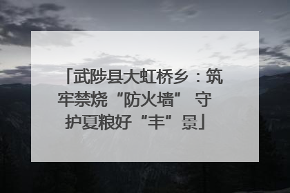 武陟县大虹桥乡：筑牢禁烧“防火墙” 守护夏粮好“丰”景
