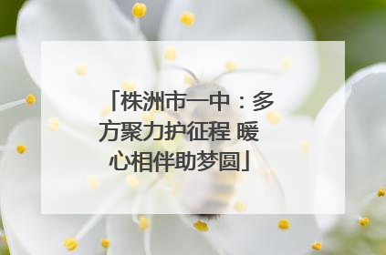 株洲市一中：多方聚力护征程 暖心相伴助梦圆