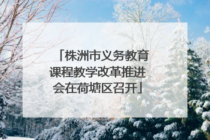 株洲市义务教育课程教学改革推进会在荷塘区召开