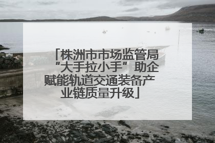 株洲市市场监管局“大手拉小手”助企赋能轨道交通装备产业链质量升级