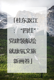 桂东沤江：“四红”党建领航绘就康氧文旅新画卷
