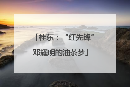 桂东：“红先锋”邓耀明的油茶梦