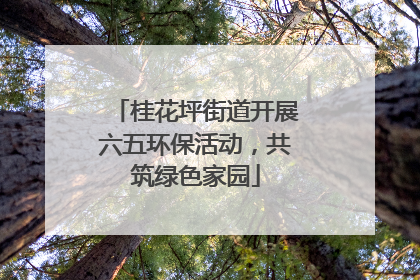 桂花坪街道开展六五环保活动，共筑绿色家园