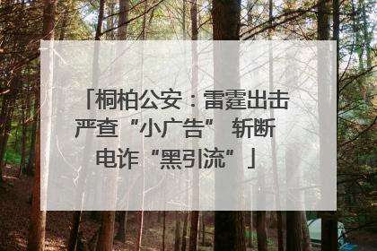 桐柏公安：雷霆出击严查“小广告” 斩断电诈“黑引流”