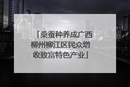 桑蚕种养成广西柳州柳江区民众增收致富特色产业
