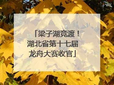 梁子湖竞渡！湖北省第十七届龙舟大赛收官