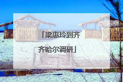 梁惠玲到齐齐哈尔调研
