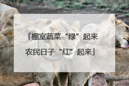 棚室蔬菜“绿”起来 农民日子“红”起来