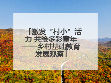 激发“村小”活力 共绘多彩童年——乡村基础教育发展观察