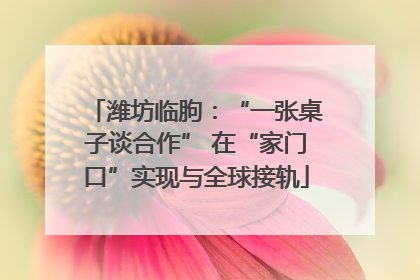 潍坊临朐：“一张桌子谈合作” 在“家门口”实现与全球接轨