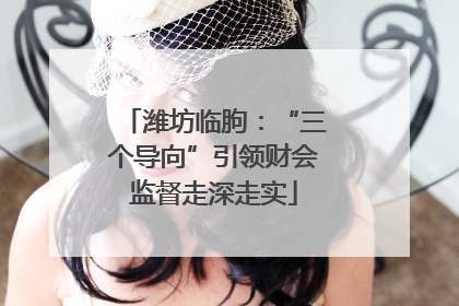 潍坊临朐：“三个导向”引领财会监督走深走实