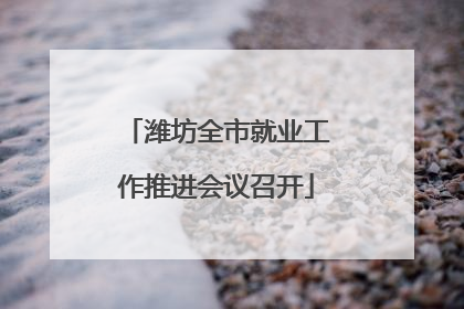 潍坊全市就业工作推进会议召开
